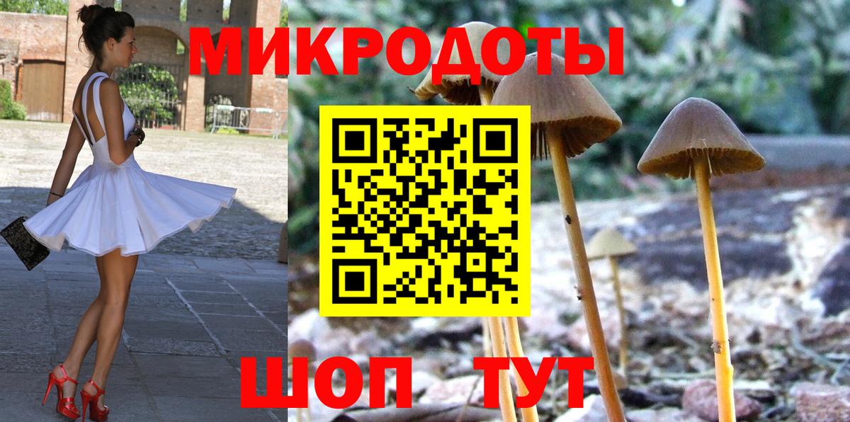 Дубна  Галлюциногенные грибы MAGIC MUSHROOMS  Вход с VPN 