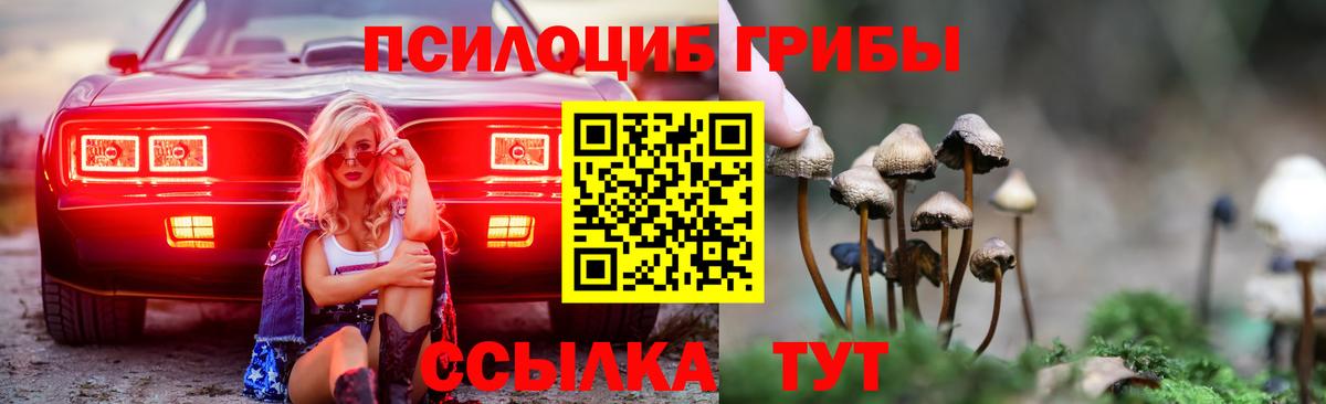 Псилоцибиновые грибы мицелий Дубна