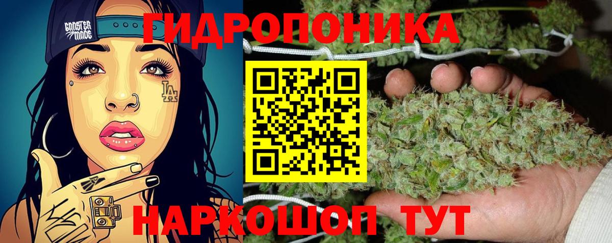 Каннабис OG Kush  Марихуана план  Марихуана SATIVA & INDICA  Вход с VPN  Дубна  Бошки Шишки Amnesia 